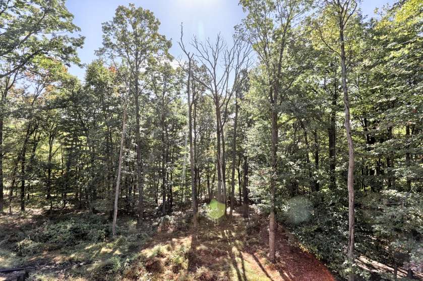 Image for Premiere Real Estate Auction - Spring Hill Acres