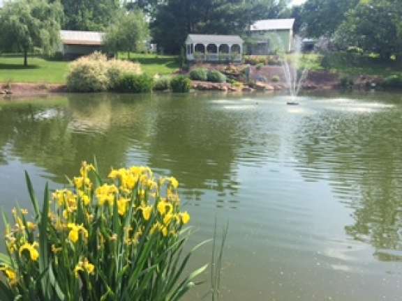 Image for Real Estate Auction - Lebanon, PA