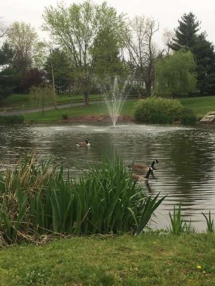 Image for Real Estate Auction - Lebanon, PA