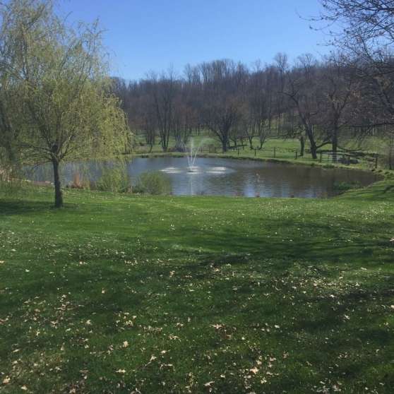 Image for Real Estate Auction - Lebanon, PA