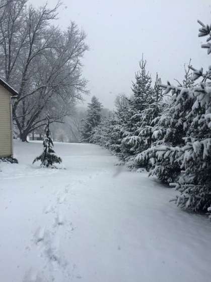 Image for Real Estate Auction - Lebanon, PA