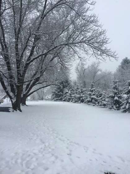 Image for Real Estate Auction - Lebanon, PA