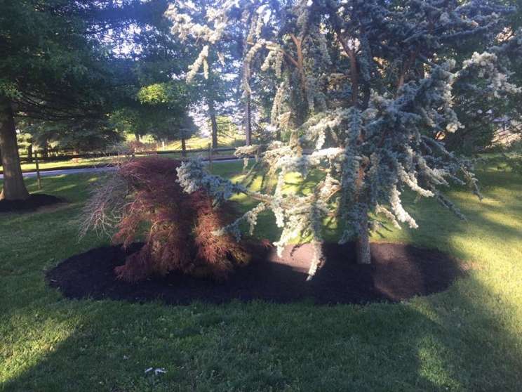 Image for Real Estate Auction - Lebanon, PA