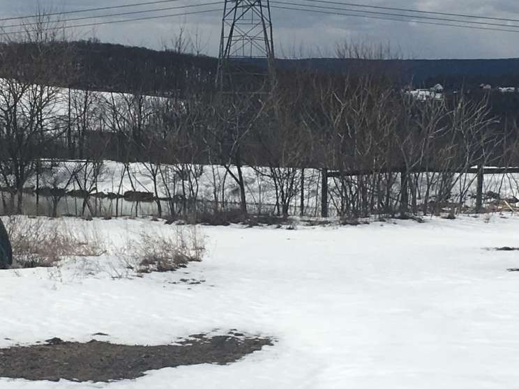 Image for Absolute Real Estate Auction - Northampton PA