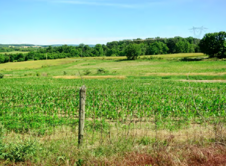 Image for Absolute Real Estate Auction - Northampton PA