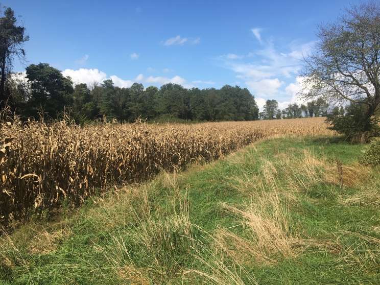 Image for Commercial Land Real Estate Auction - Fleetwood, PA