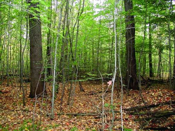 Image for ABSOLUTE - Real Estate Auction, Clearfield County PA