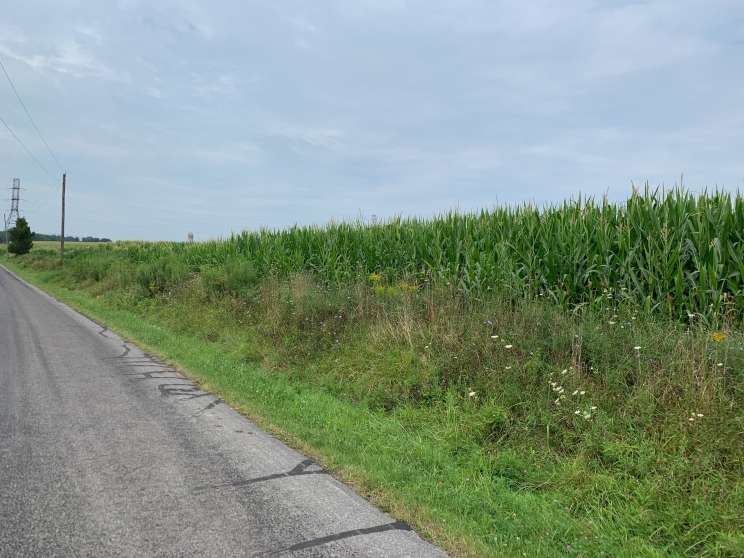 Image for Land Auction – (+/-) 90 Acres - Turbotville, Pennsylvania