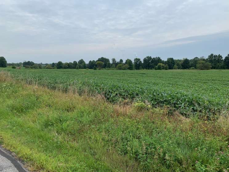 Image for Land Auction – (+/-) 90 Acres - Turbotville, Pennsylvania