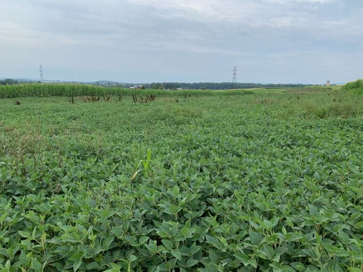 Image for Land Auction – (+/-) 90 Acres - Turbotville, Pennsylvania