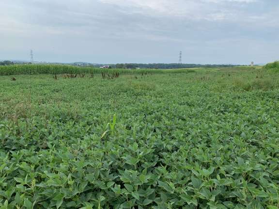 Image for Land Auction – (+/-) 90 Acres - Turbotville, Pennsylvania