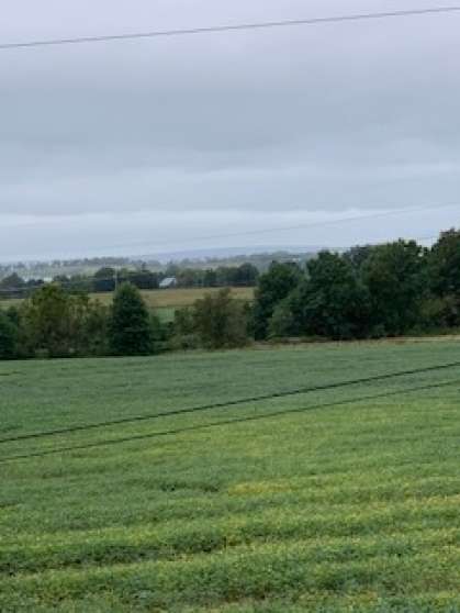 Image for Land Auction – (+/-) 90 Acres - Turbotville, Pennsylvania