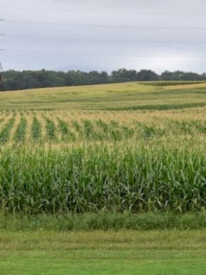 Image for Land Auction – (+/-) 90 Acres - Turbotville, Pennsylvania