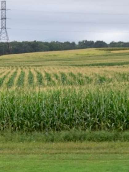 Image for Land Auction – (+/-) 90 Acres - Turbotville, Pennsylvania