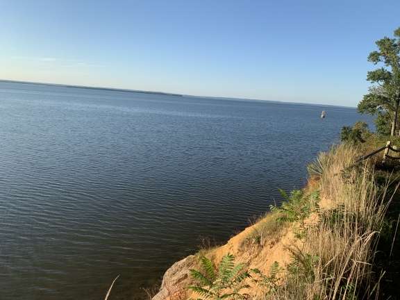 Image for Real Estate Auction - WATERFRONT North East, MD