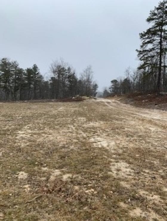 Image for Land Auction – (+/-) 336 Acres - Beech Creek, Pennsylvania