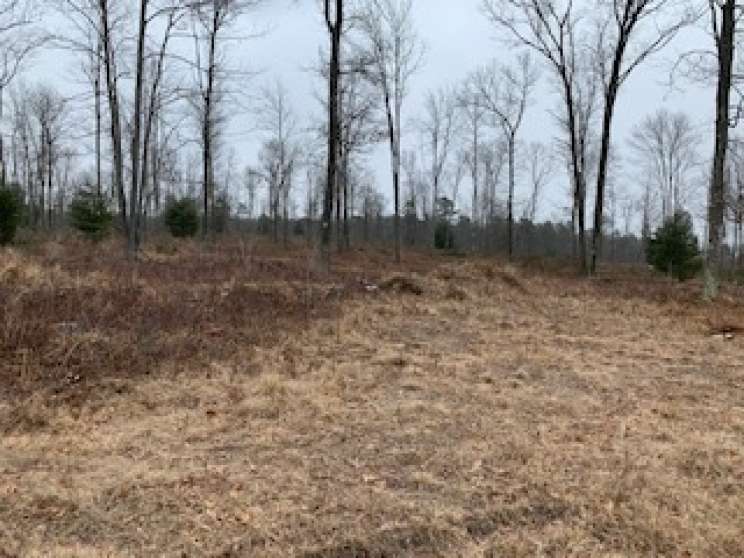 Image for Land Auction – (+/-) 336 Acres - Beech Creek, Pennsylvania