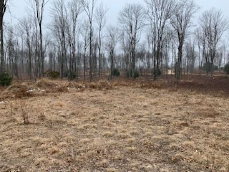 Image for Land Auction – (+/-) 336 Acres - Beech Creek, Pennsylvania