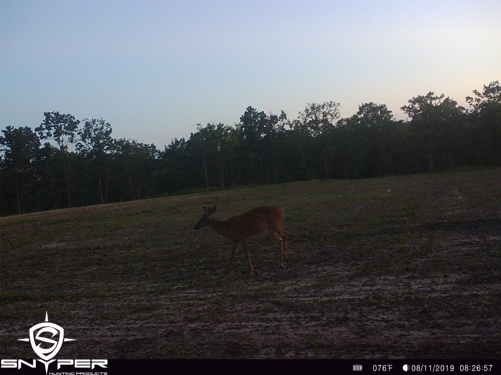 Image for Land Auction – (+/-) 336 Acres - Beech Creek, Pennsylvania