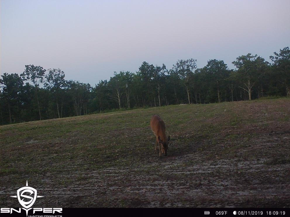 Image for Land Auction – (+/-) 336 Acres - Beech Creek, Pennsylvania