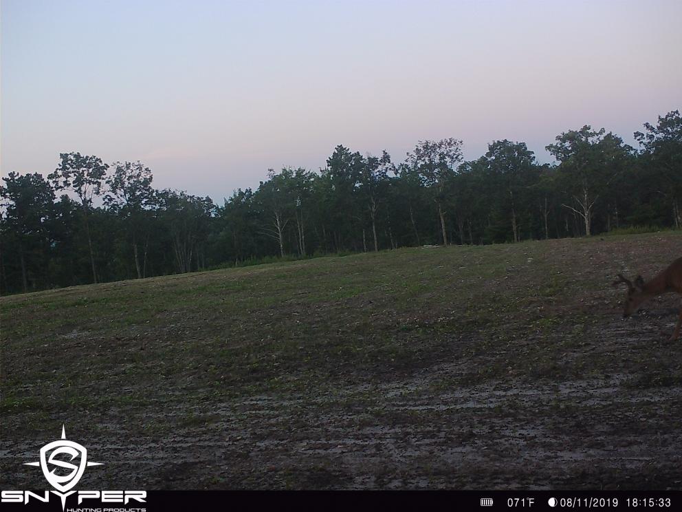 Image for Land Auction – (+/-) 336 Acres - Beech Creek, Pennsylvania