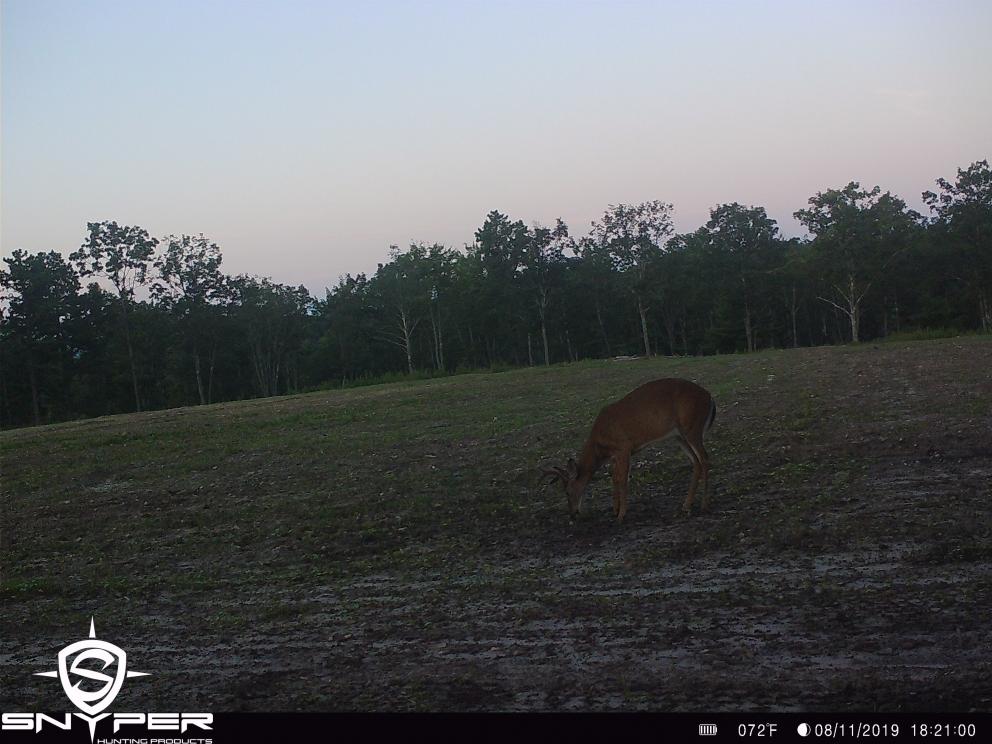 Image for Land Auction – (+/-) 336 Acres - Beech Creek, Pennsylvania