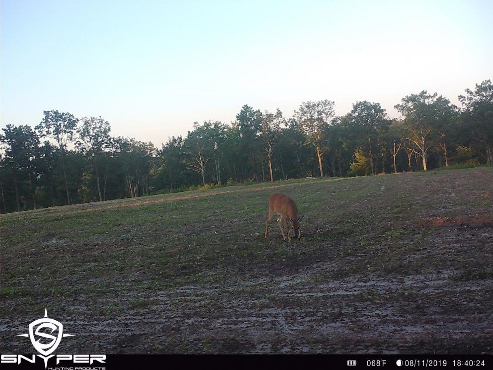 Image for Land Auction – (+/-) 336 Acres - Beech Creek, Pennsylvania