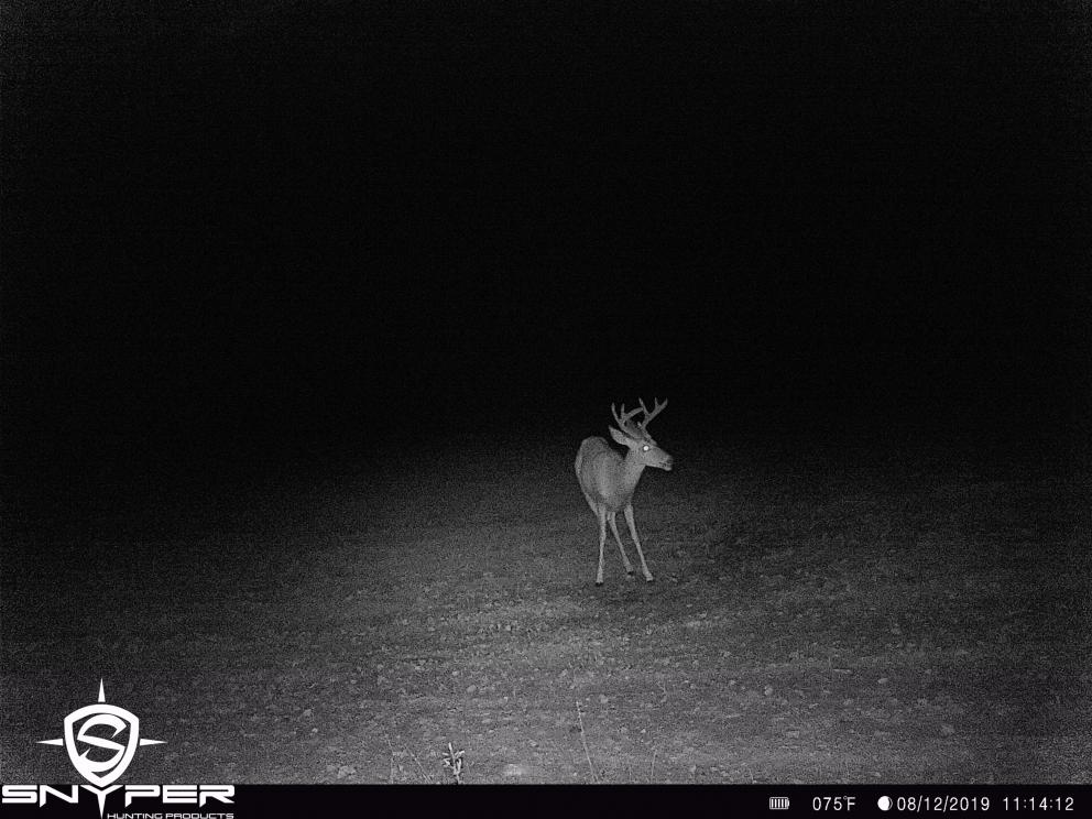 Image for Land Auction – (+/-) 336 Acres - Beech Creek, Pennsylvania