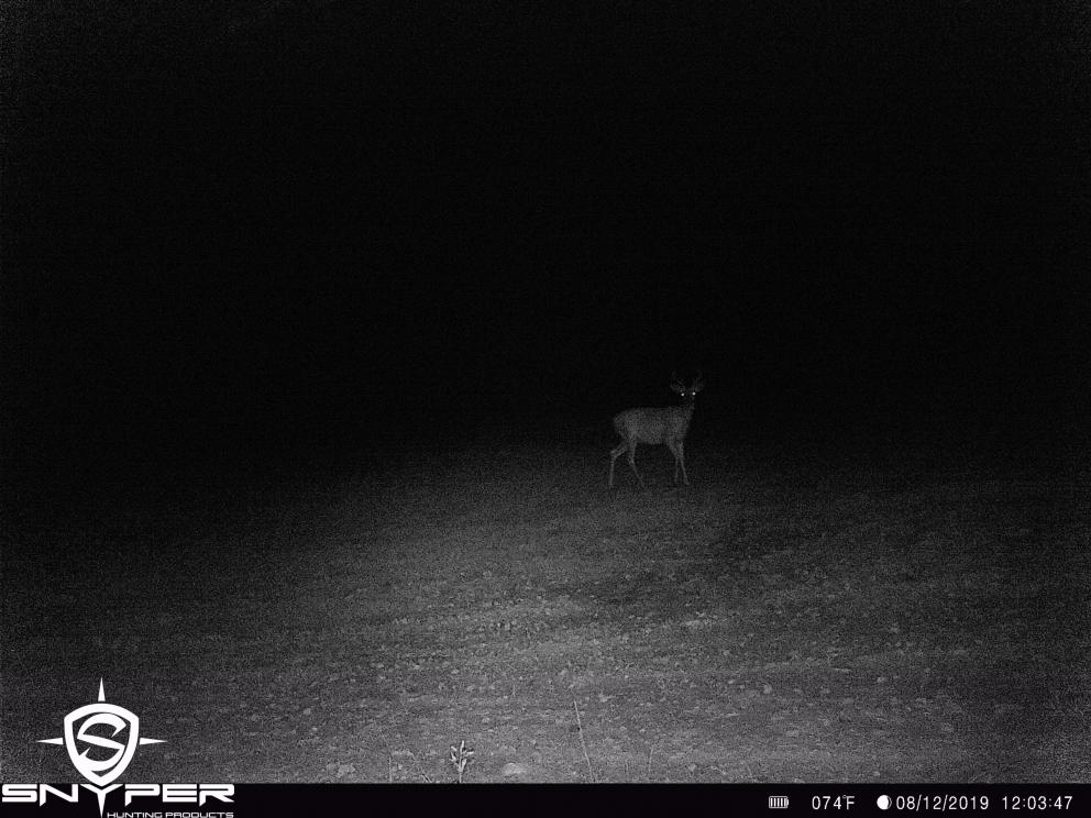 Image for Land Auction – (+/-) 336 Acres - Beech Creek, Pennsylvania