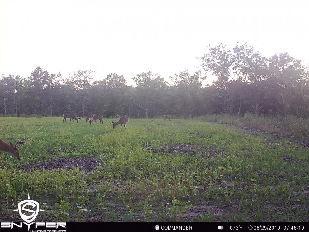 Image for Land Auction – (+/-) 336 Acres - Beech Creek, Pennsylvania