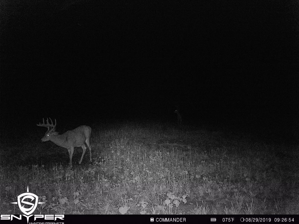 Image for Land Auction – (+/-) 336 Acres - Beech Creek, Pennsylvania