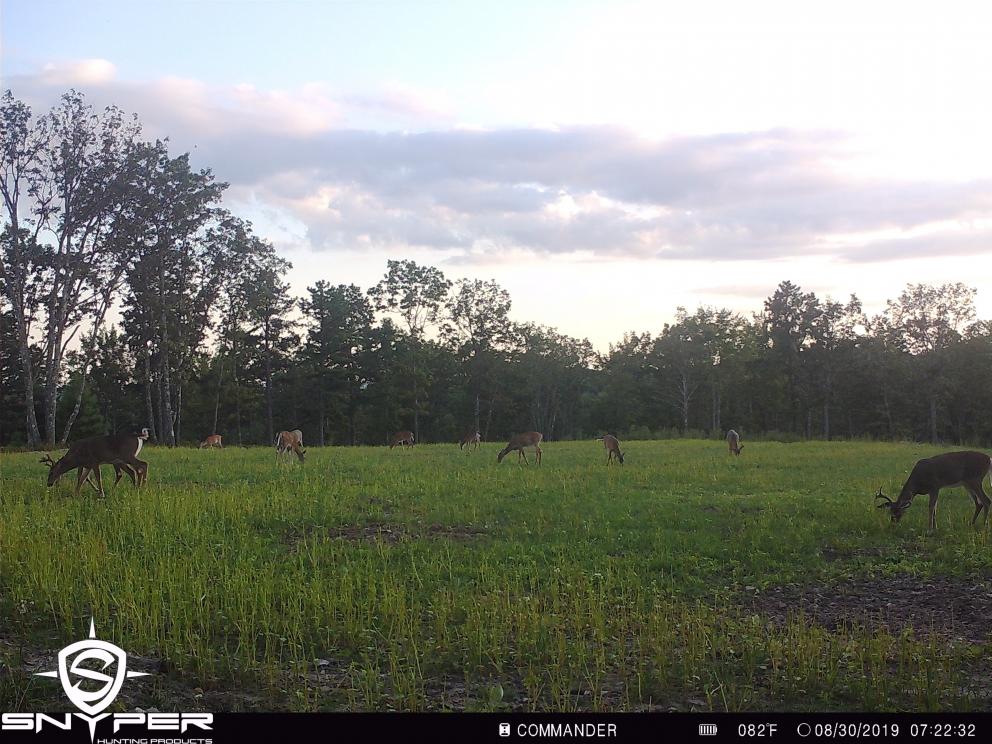 Image for Land Auction – (+/-) 336 Acres - Beech Creek, Pennsylvania