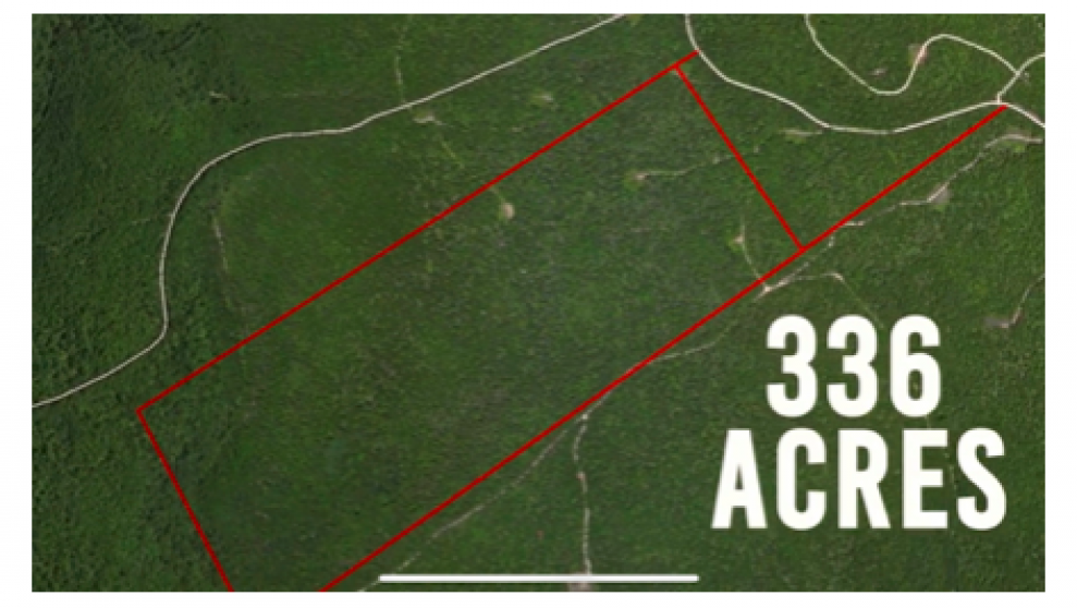 Image for Land Auction – (+/-) 336 Acres - Beech Creek, Pennsylvania