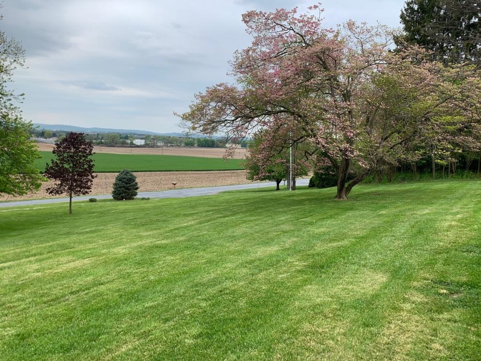 Image for ABSOLUTE Real Estate Auction - Lebanon PA