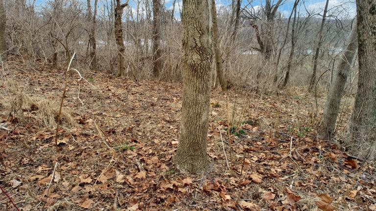 Image for Land Auction - 4.35 Acre Building Lot in Lebanon County