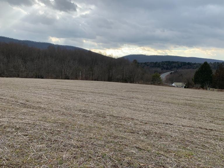 Image for Real Estate Auction - 10 Acres in Jonestown PA