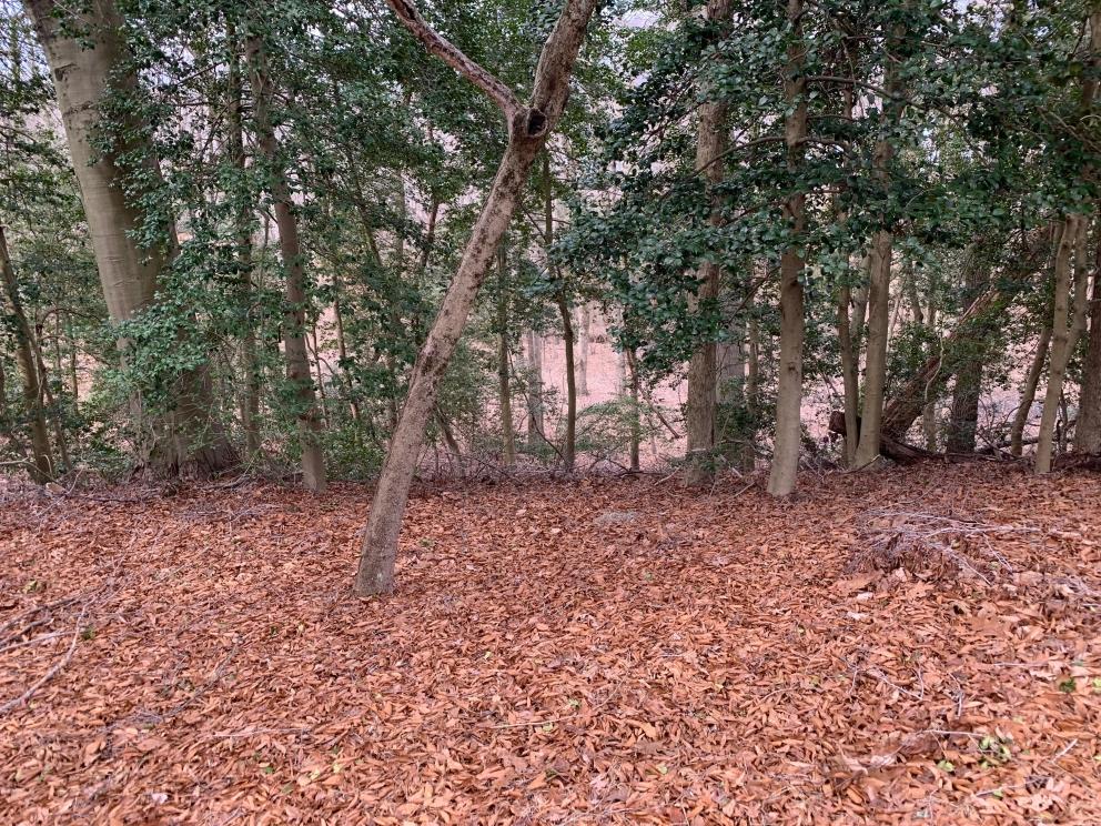 Image for Real Estate Auction - Burlington County NJ