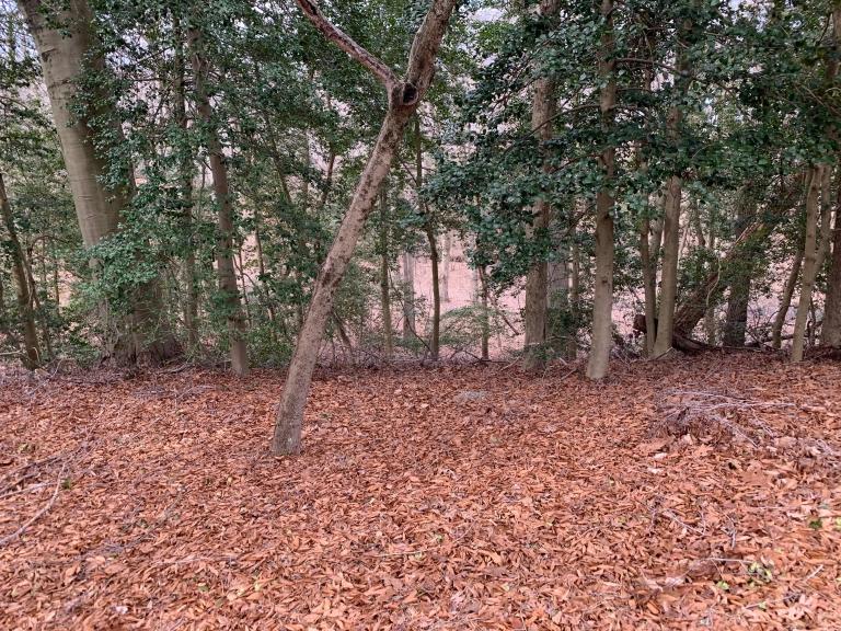 Image for Real Estate Auction - Burlington County NJ