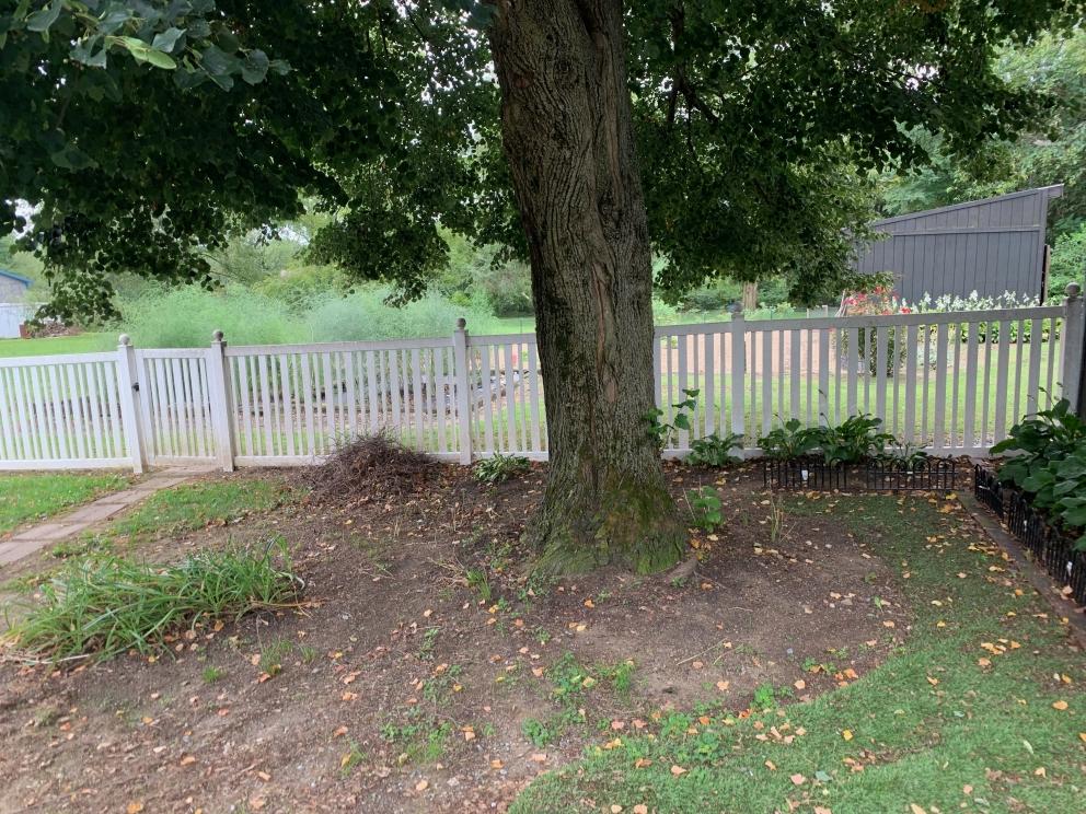 Image for Real Estate Auction - Palmyra PA