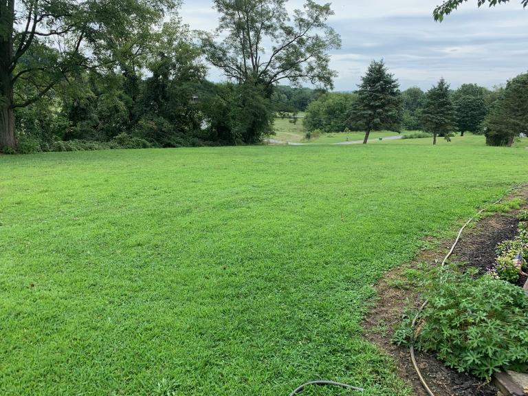 Image for Real Estate Auction - Palmyra PA