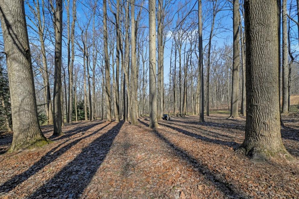 Image for Real Estate Auction - Lancaster County PA