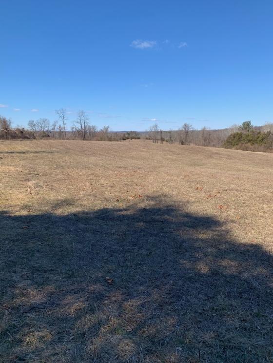 Image for ABSOLUTE AUCTION - 55 Acre Farm - York County