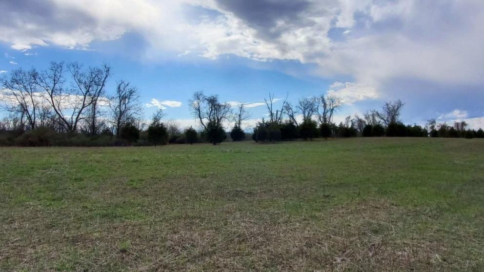 Image for ABSOLUTE AUCTION - 55 Acre Farm - York County