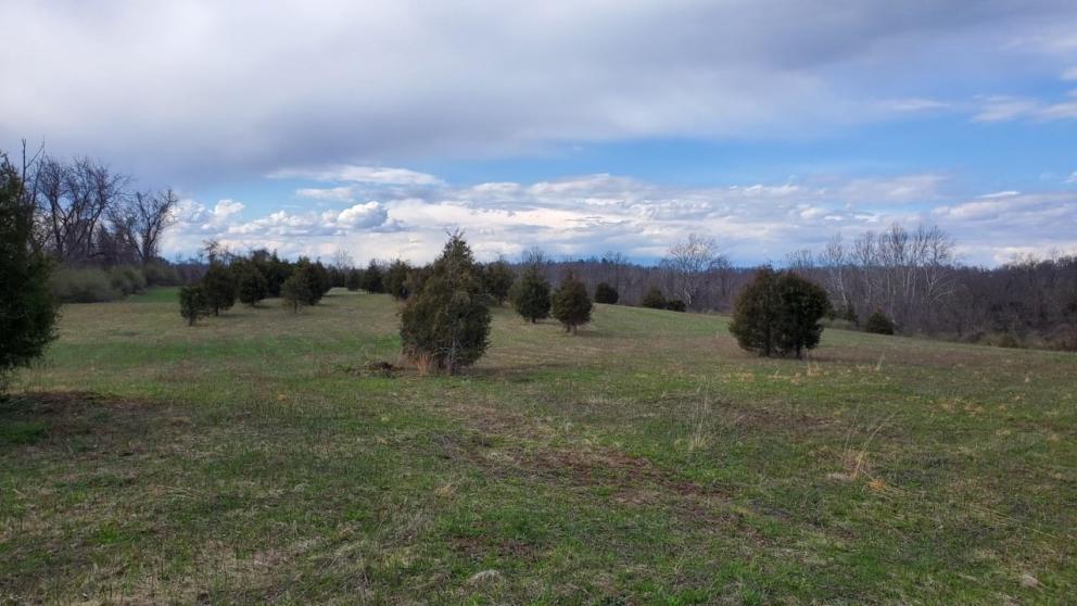 Image for ABSOLUTE AUCTION - 55 Acre Farm - York County