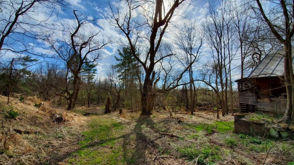 Image for ABSOLUTE AUCTION - 55 Acre Farm - York County