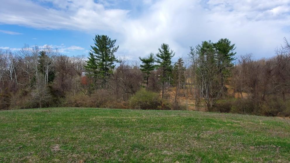 Image for ABSOLUTE AUCTION - 55 Acre Farm - York County