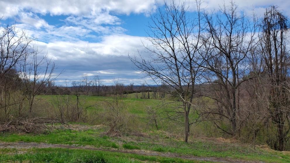 Image for ABSOLUTE AUCTION - 55 Acre Farm - York County
