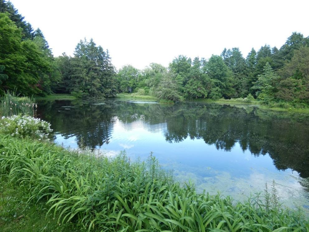 Image for Real Estate Auction - Dutchess County NY