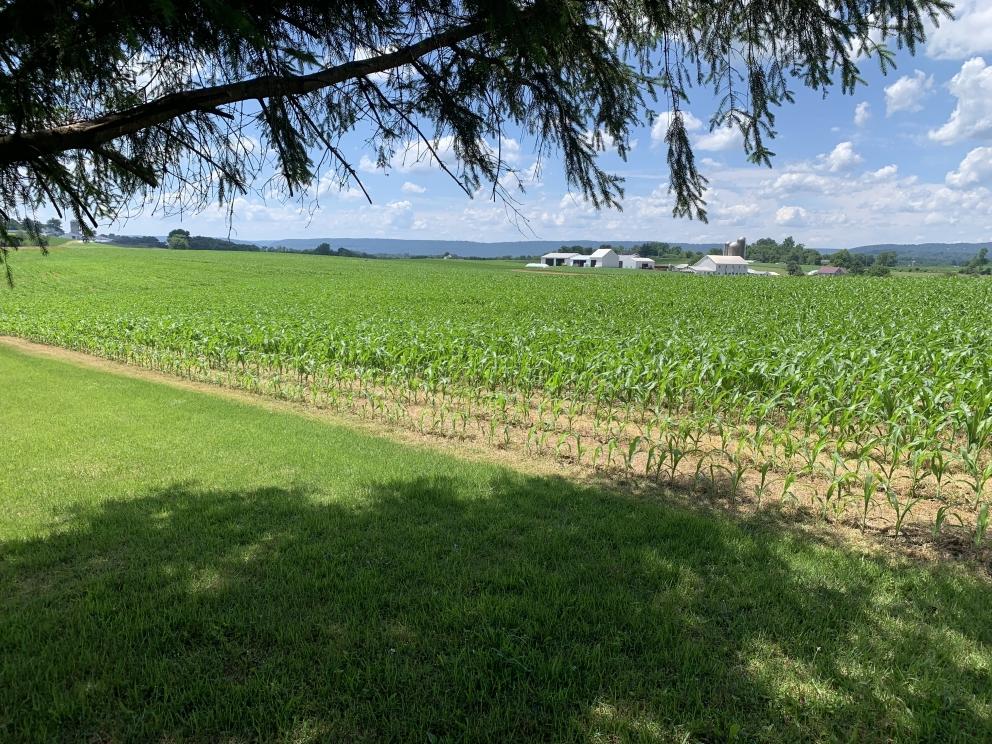 Image for ABSOLUTE Real Estate Auction - Lebanon County PA