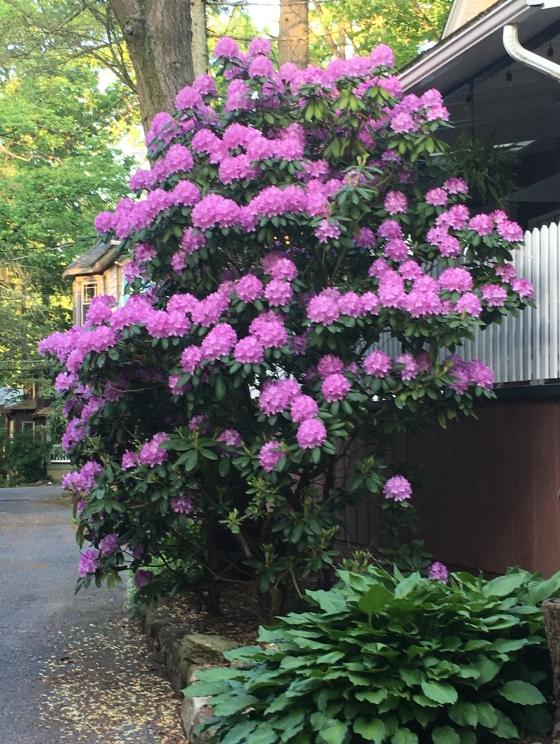 Image for Real Estate Auction - Mount Gretna Pennsylvania